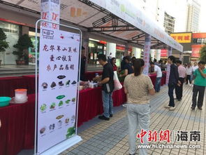愛心匯聚明珠廣場(chǎng)，2018龍華羊山美味扶貧展銷情暖椰城